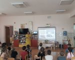 img (3)